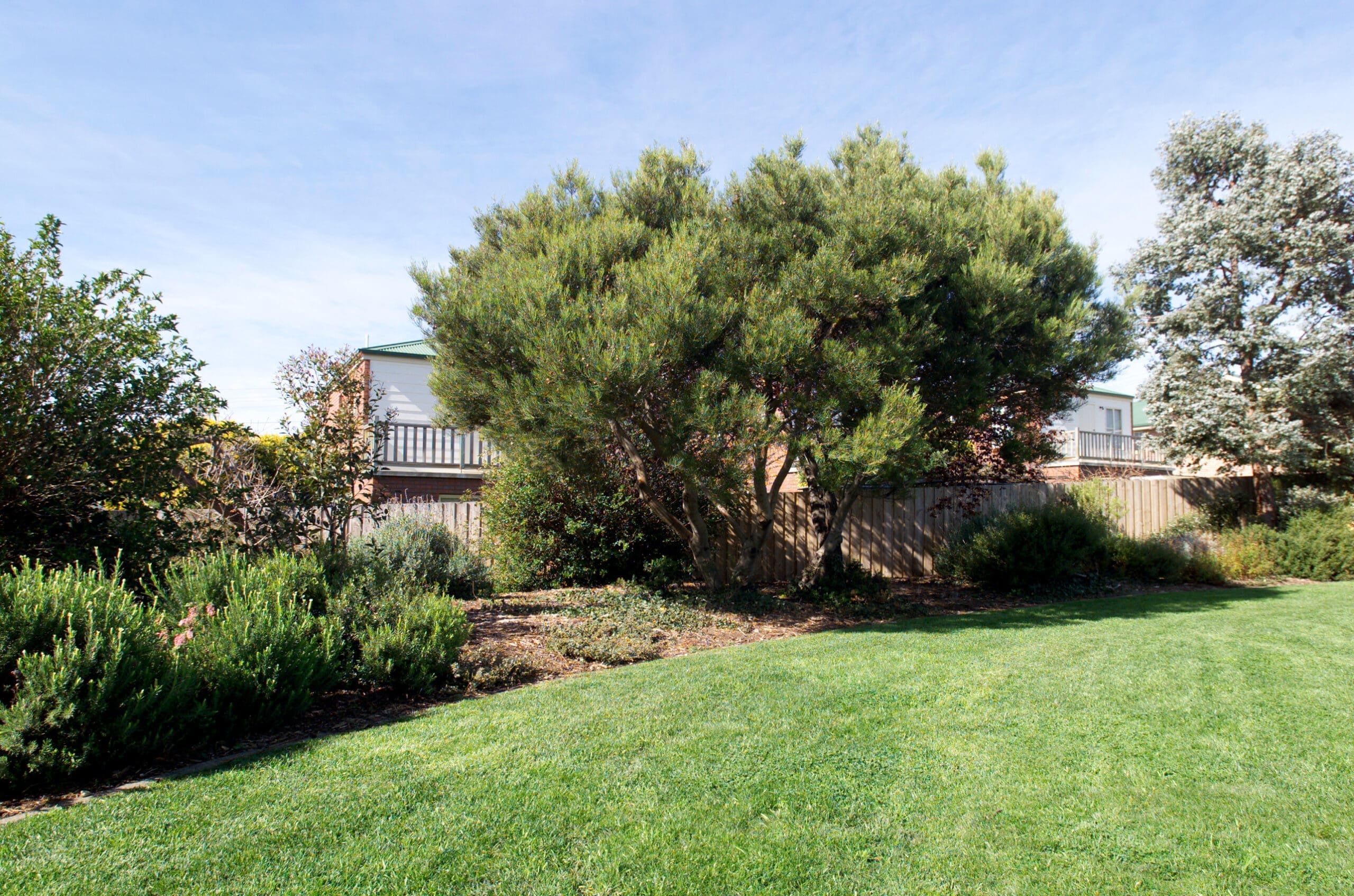 View of a suburban backyard garden with garden beds, trees and shrubs
